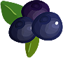 Blueberries, black and red currants, gooseberries, blackberries